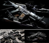 Armas e Munição em Cascavel
